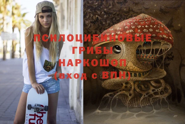 spice Каменск-Шахтинский