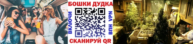 Купить закладки  Полярный  Бошки марихуана индика 